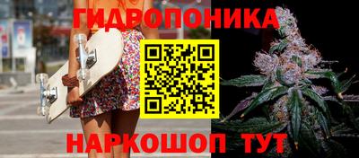 дмт Абинск