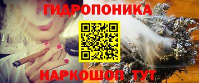 дмт Абинск