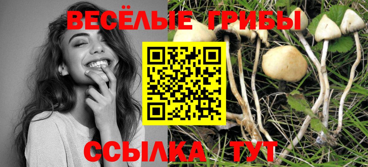 Альметьевск  Галлюциногенные грибы мухоморы  Вход с VPN  Псилоцибиновые грибы MAGIC MUSHROOMS 