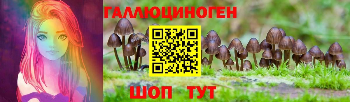 Псилоцибиновые грибы Psilocybine cubensis Альметьевск